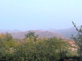 The view