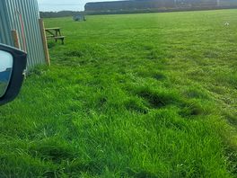 Long grass
