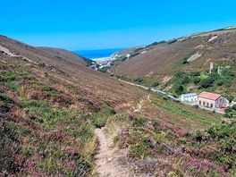 Walk down to the beach from the campsite