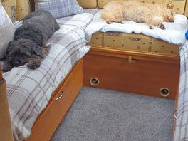 Dog's loved it too!!!