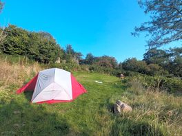 Our site