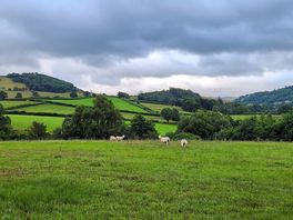 View from my camper of lush green hills
