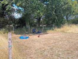Our pitch before setting up. spot the dog!