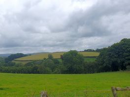 Views on walk