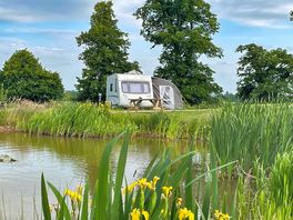 Pitches overlooking the fishing pond