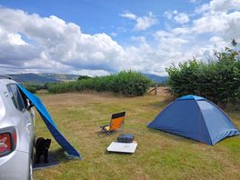 A happy place for man & dog