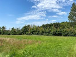 Relaxing view from the pitches
