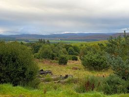 View from the road leading up to camping pod heaven.
