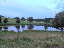 Evening view over lake