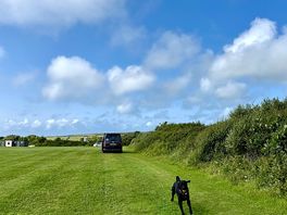 Field view