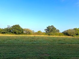 Our morning view