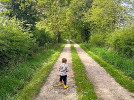 Exploring the surroundings