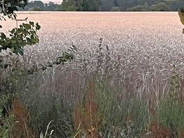 Lovely views