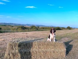 Part of a 4 mile circular walk from site