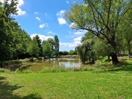 Estanque