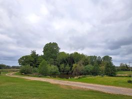Pond