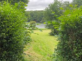 View from pitch