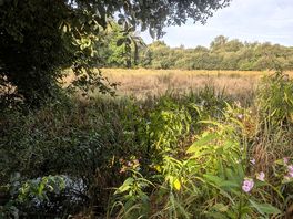 Field across the river
