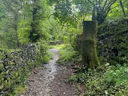 Walk
