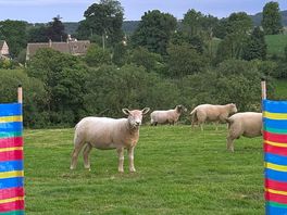 Friendly visitors