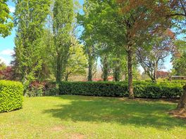 Trees and hedges all around