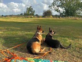 Chilling by the tent