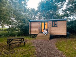 Spacious hut with lots of outdoor space to be in