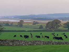 View out to kent estuary