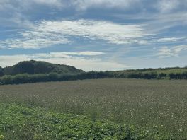 Walk from campsite to beach
