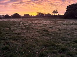 Beautiful sunrise