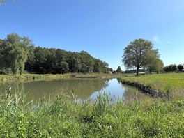 Lake view