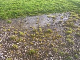 Puddles