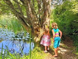 The pond-side fairy trail was a big hit!