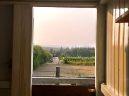 Morning view from inside the hut