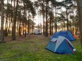 Woodland pitch