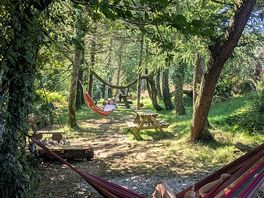 Hammocks