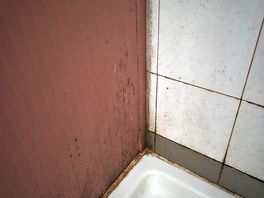 Shower trays