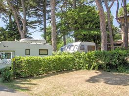 Grass pitches among the trees
