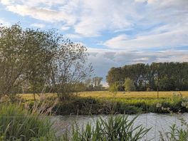 River and next field over with sheep, blue sky
