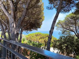 Vista desde parcela