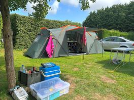 The two pitches together had privacy bushes on either side
