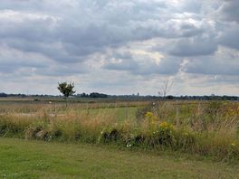 Ely cathedral in the distance