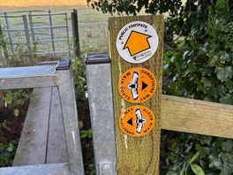 Walk
