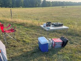 Field next to site with the cows