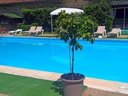 La piscine