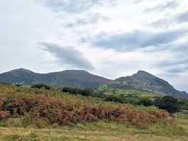 Views from trefor