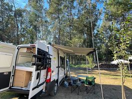 Unser platz direkt am wald
