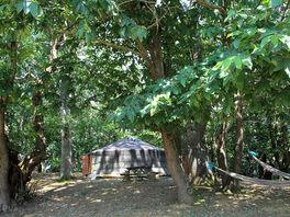 Outside the yurt