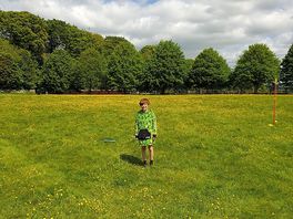 Buttercups everywhere!