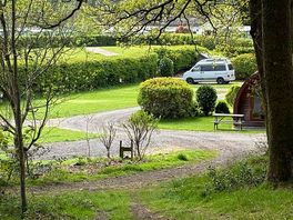 View of the campsite from the woodland walk
